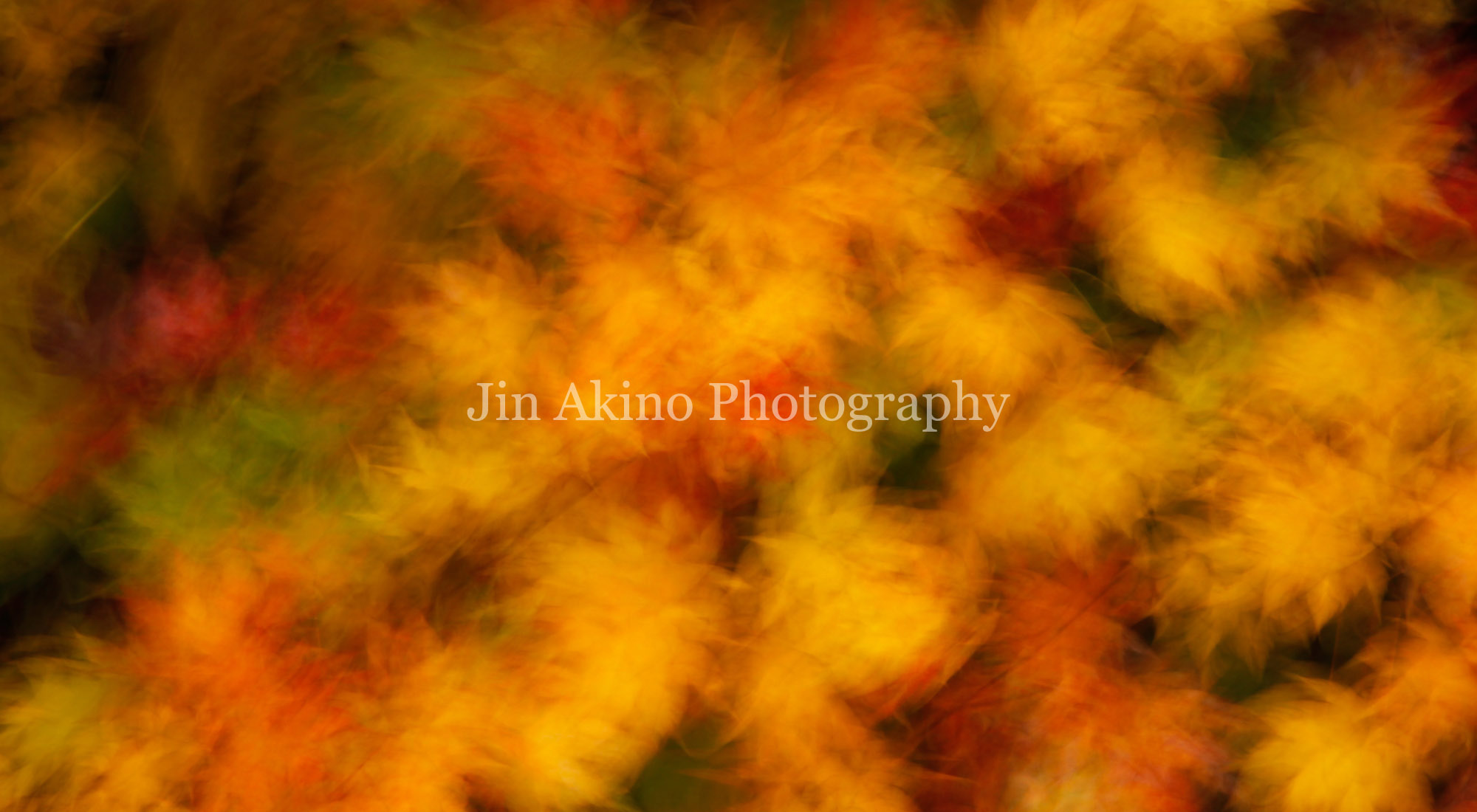 Jin Akino Photography