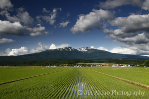 jinakino-japan11