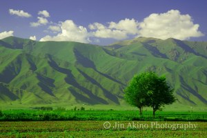 jinakino-silkroad-kyrgyzstan02