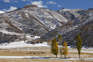 jinakino-silkroad-kyrgyzstan05
