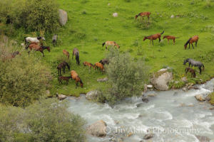 jinakino-silkroad-kyrgyzstan08