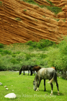 jinakino-silkroad-kyrgyzstan10