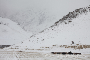 jinakino-silkroad-kyrgyzstan13