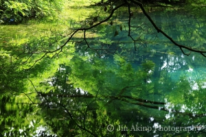 jinakino-japan07