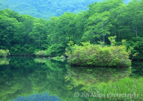 jinakino-japan12