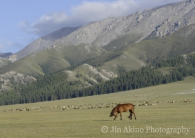 jinakino-silkroad-china08