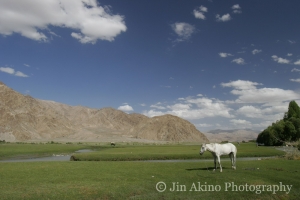 jinakino-silkroad-china15