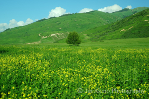 jinakino-silkroad-kyrgyzstan03