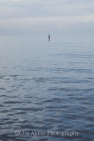 jinakino-silkroad-kyrgyzstan07