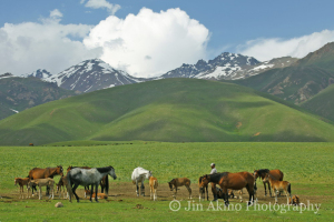 jinakino-silkroad-kyrgyzstan15