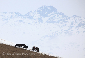 jinakino-silkroad-kyrgyzstan16